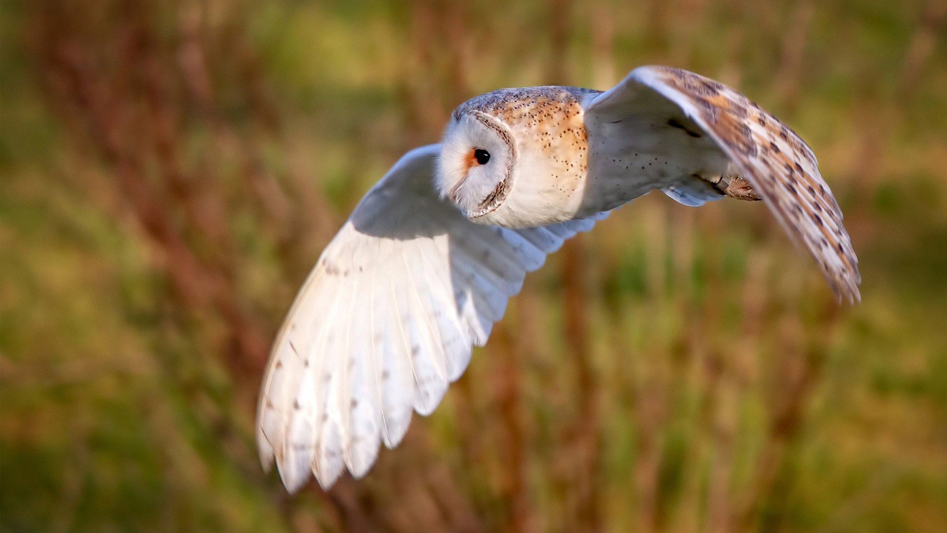 世俱杯赛程-“逆境中的勇士,用汗水和拼搏追梦赛季最精彩一战”,逆境挑战