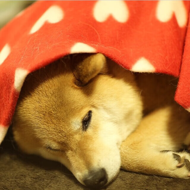 世俱杯直播-中国篮协推动“智慧体育场馆”建设，提升比赛体验，篮球馆智慧化管理系统