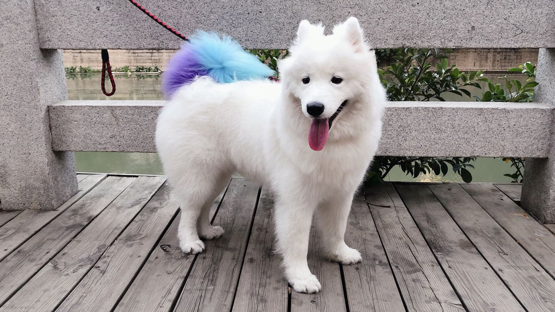 2025世俱杯赛程-史上最“硬核”篮下争夺:他在攻防转换中的拼搏精神令人敬佩!