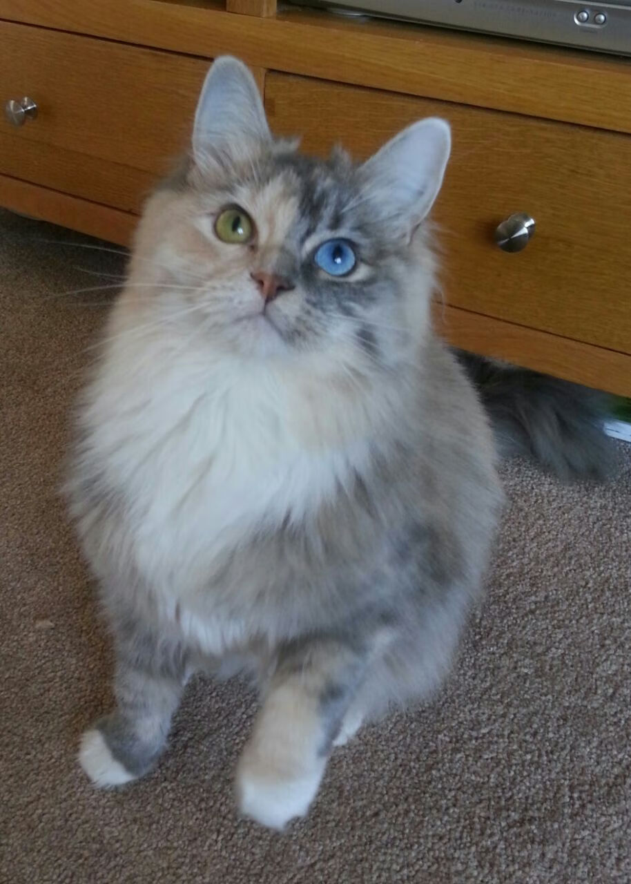 2025世俱杯赛程-史上最“硬核”篮下争夺:他在攻防转换中的拼搏精神令人敬佩!