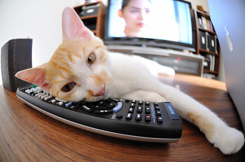 世俱杯对阵表-德甲:拜仁轮换阵容3-0击败勒沃库森,积分持续领先,拜仁 德甲