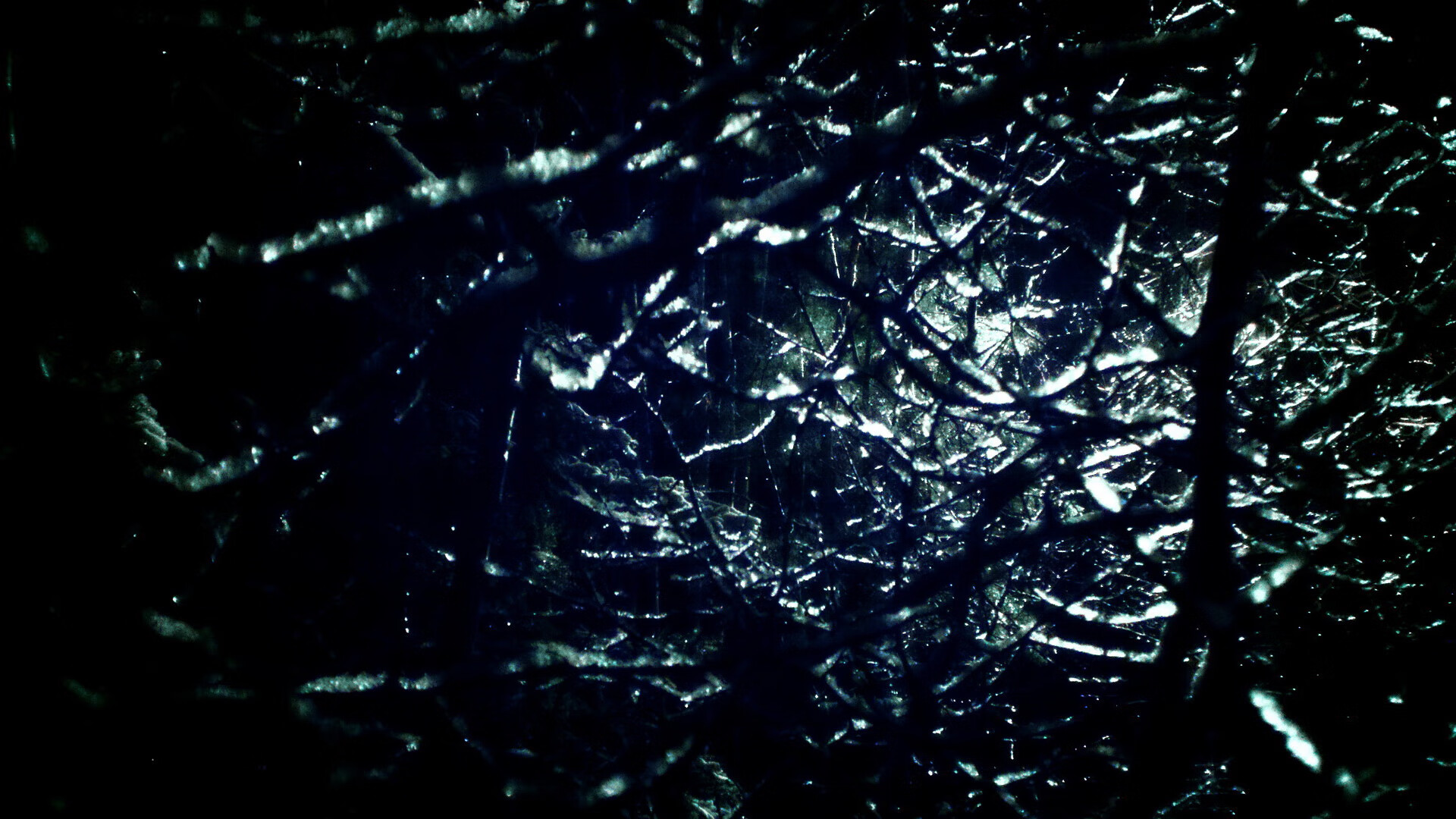 世俱杯直播-德甲：汉堡3-0轻取柏林联，强队风采尽显，汉堡德甲排名