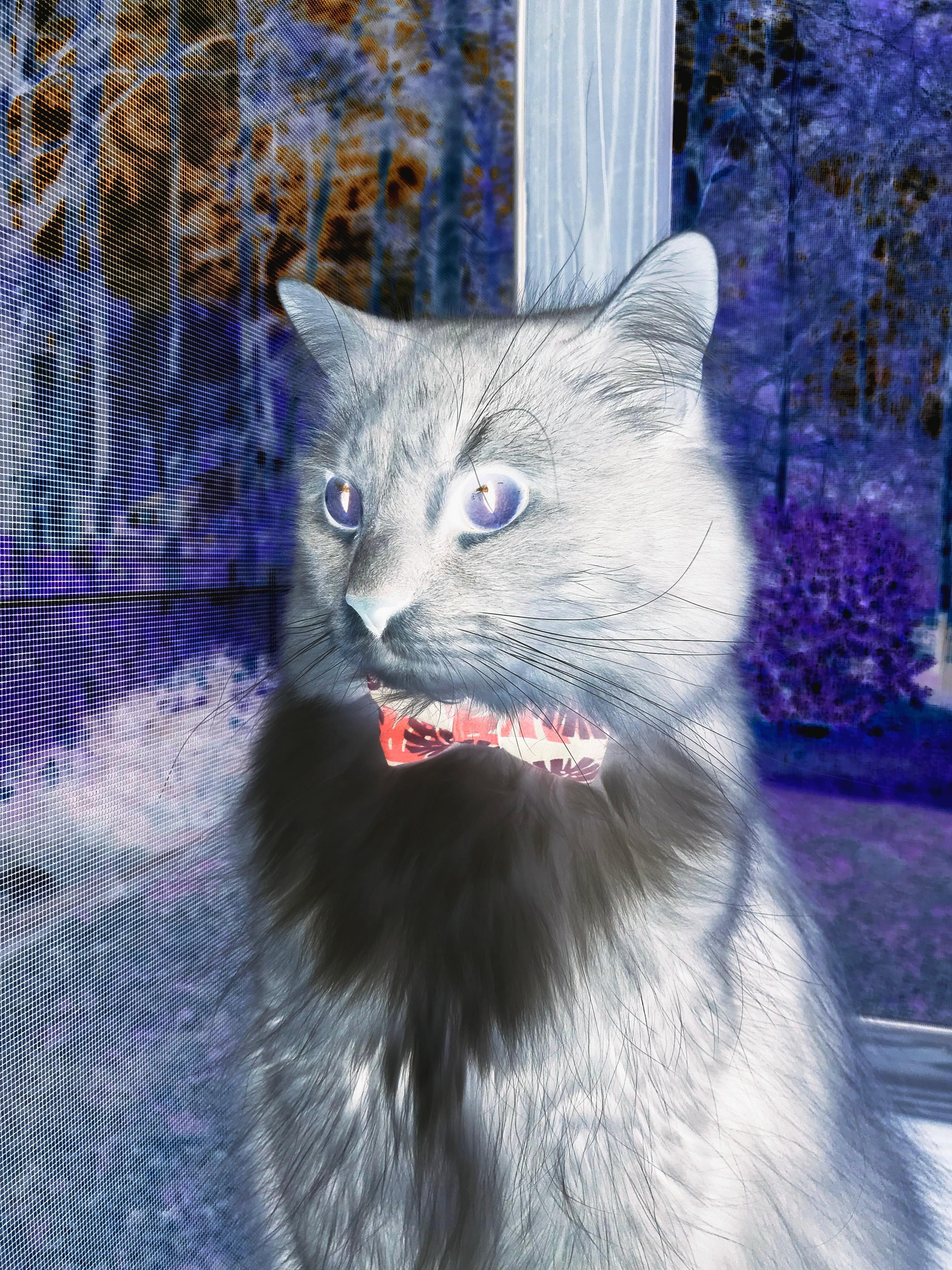 2025世俱杯-德甲推行灵活战术，精彩比赛层出不穷，德甲联赛特性