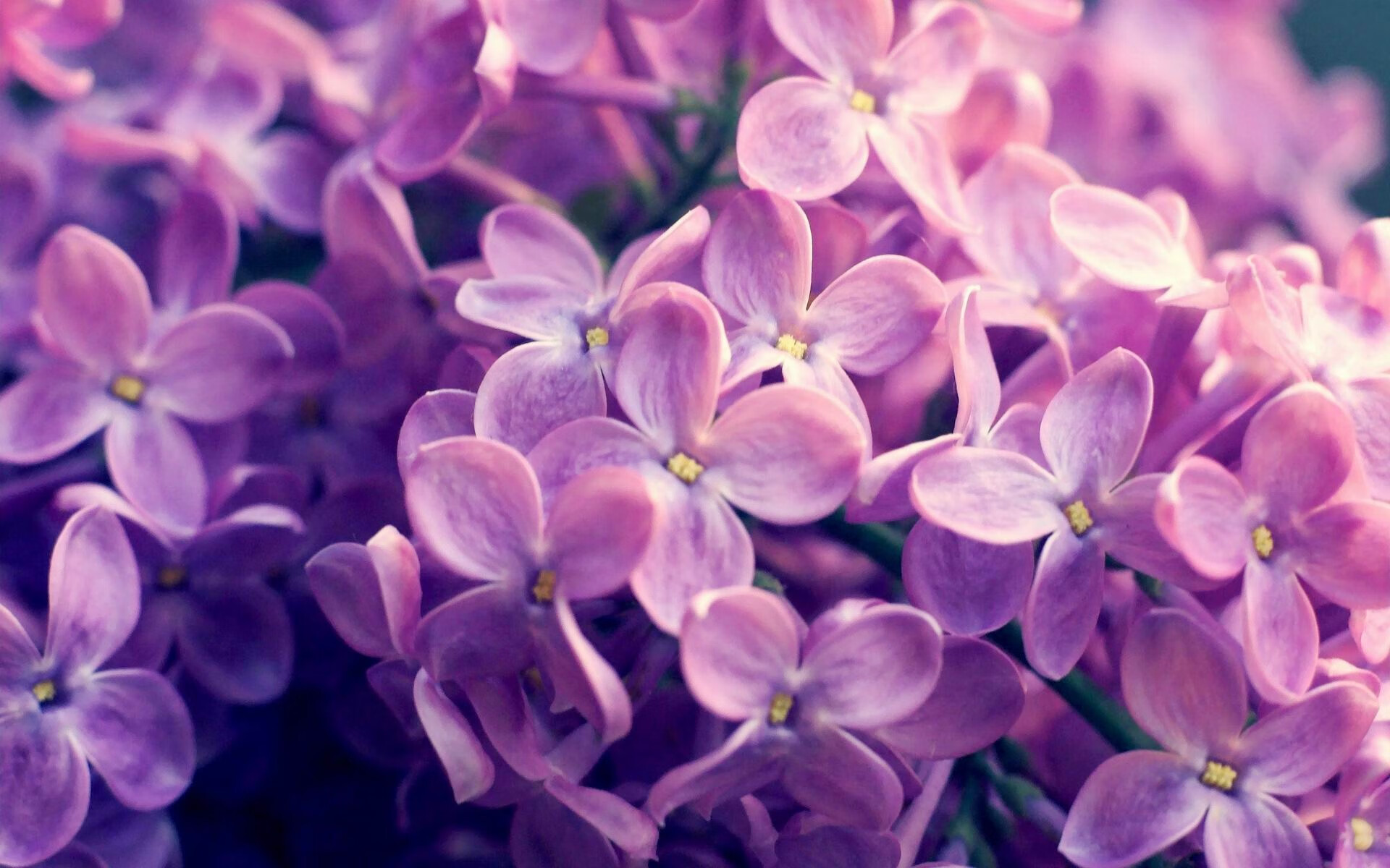 世俱杯2025赛程-惊天逆转!王强末节连续三分,带队实现大逆袭!,王强去哪了