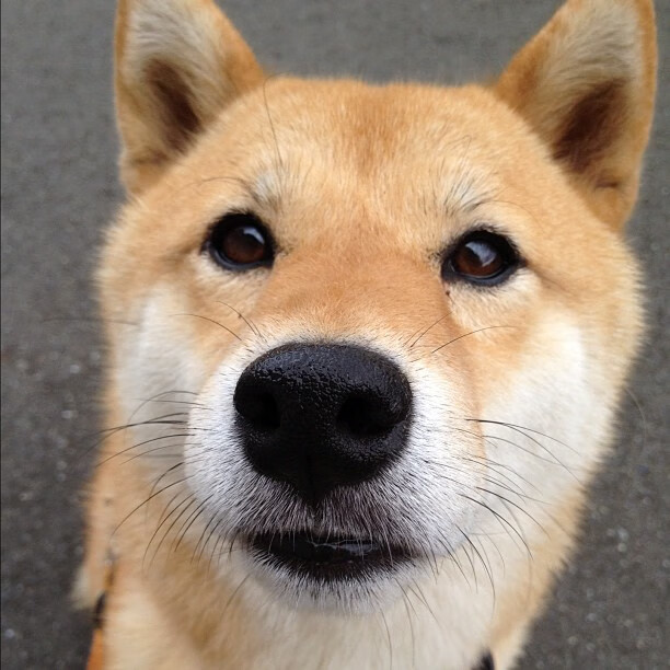 -最近5场比赛中，哪支球队表现最抢眼？，最近5场比赛中,哪支球队表现最抢眼呢