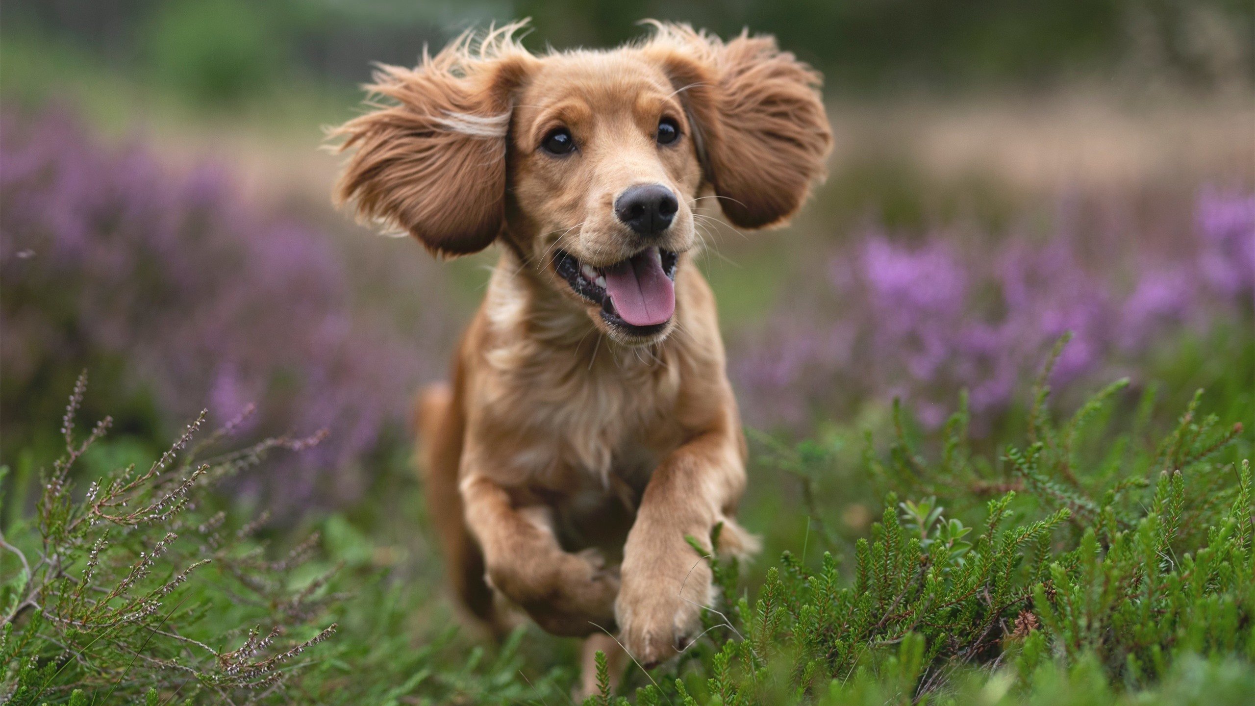 世界俱乐部杯-青少年沉迷预防：多层次、多角度推进电竞行业的健康发展，青少年沉迷于电子游戏的真实事例