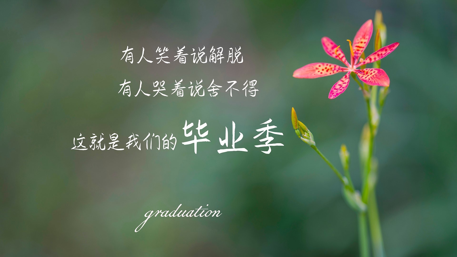 2025世俱杯对阵表-北索尔联攻势渐起,悲情之队求翻身仗,索尔纳vs北雪平比分预测