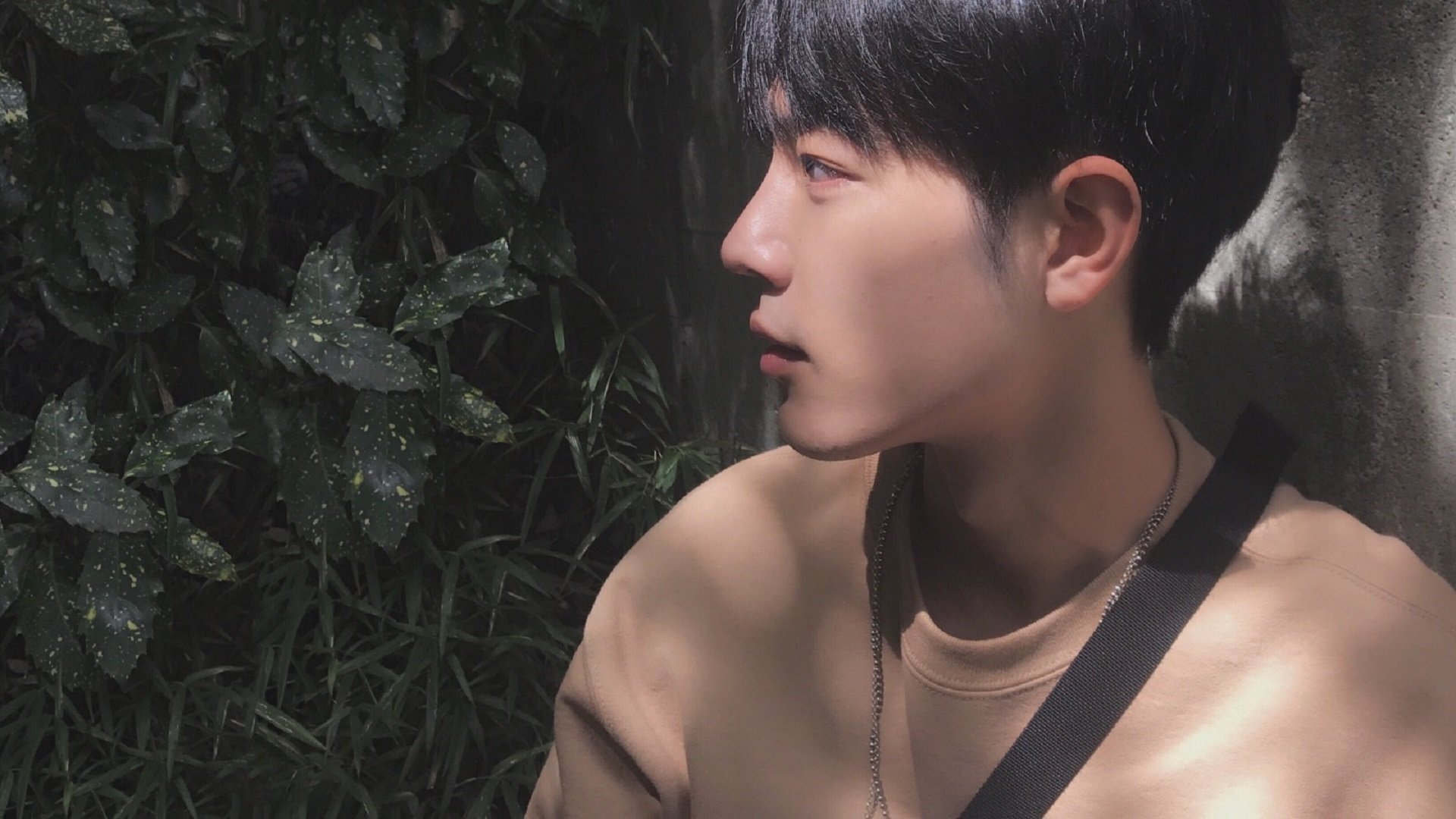 2025世俱杯赛程-威尔士队实力堪称一绝！欧洲杯预选赛全面引爆！，欧洲杯 威尔士队