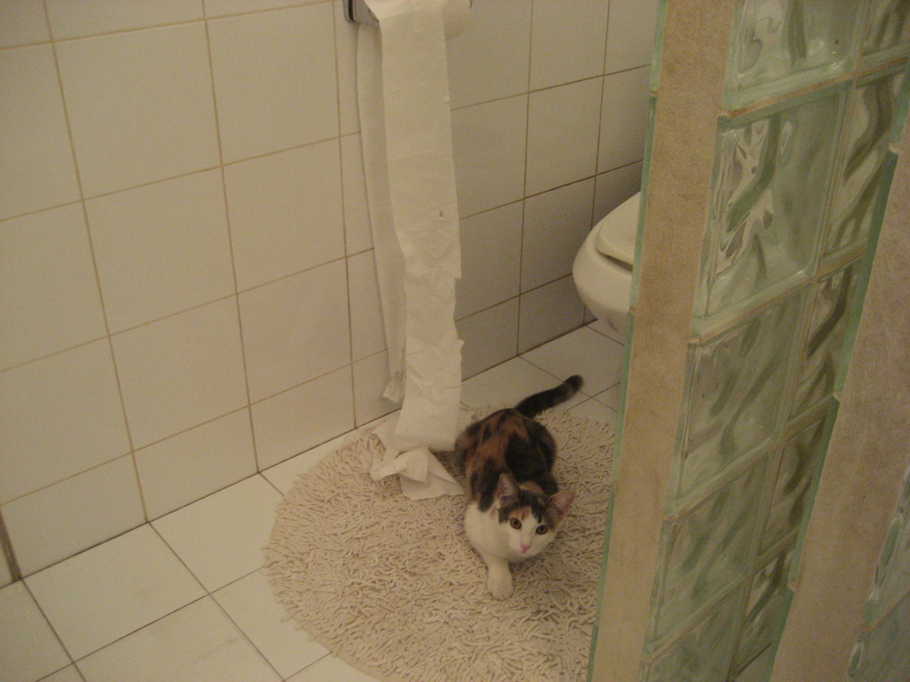 世俱杯官方-无往不胜!欧洲强队再战赛场,取得惊人胜绩,欧洲球队强弱排名