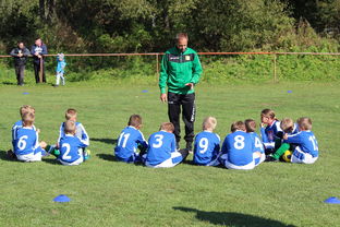 俱乐部冠军杯官网-中国篮球教练员战术执行能力提升路径分析,篮球教练技术