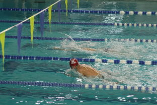 2025世俱杯赛程表-全国青少年花样游泳全国邀请赛盛大开幕,2021年全国花样游泳冠军赛