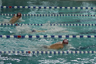 2025世俱杯赛程表-全国青少年花样游泳全国邀请赛盛大开幕,2021年全国花样游泳冠军赛