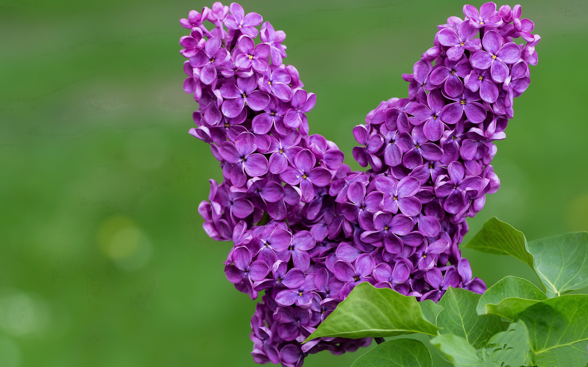 FIFA世俱杯-德甲青训引入语言思维训练提高球员位置决策能力,德甲青训规则