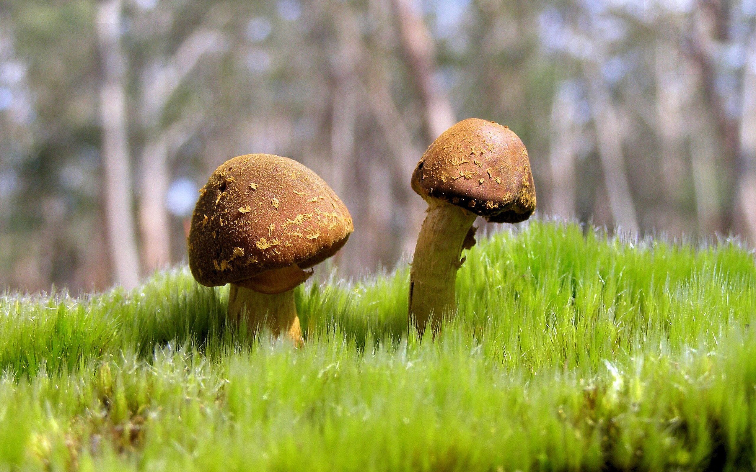 世俱杯2025赛程-校园体育文化对学生健康行为的影响,校园体育文化对学生健康行为的影响论文