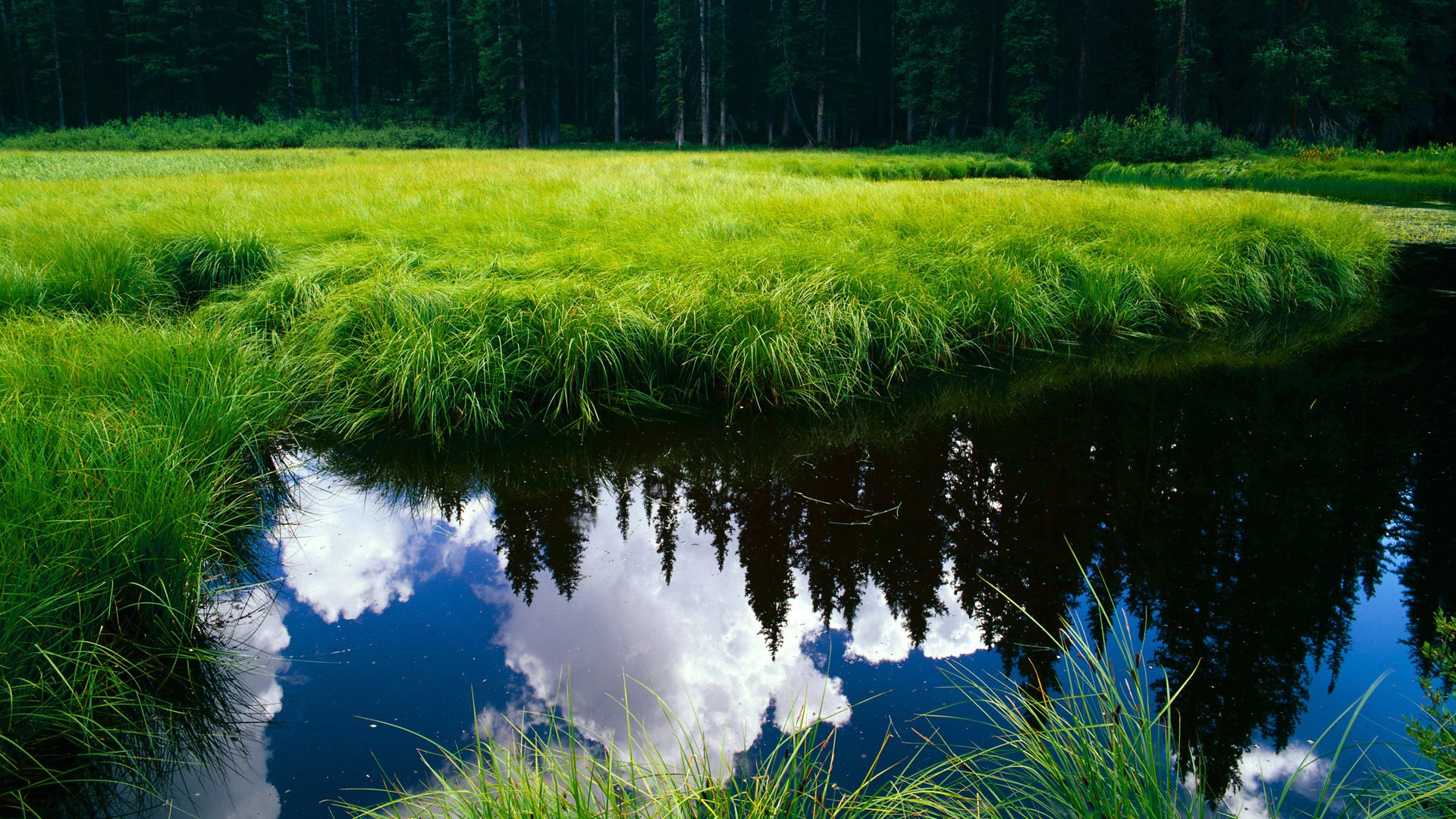 世俱杯专业体育赛事直播平台-“高新体育中心:羽毛球赛场成全球选手竞技之地”