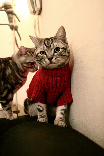 俱乐部世界杯-中国三人篮球男队打造速度与技巧兼具风格,中国三人篮球男队打造速度与技巧兼具风格的是谁