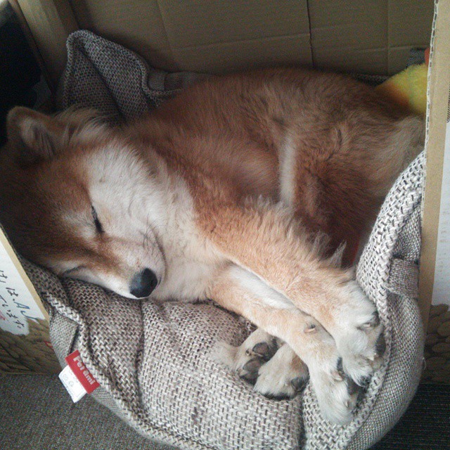 世界俱乐部杯在线观看-冰壶世界杯中国队全胜晋级淘汰赛，冰壶世锦赛2021直播